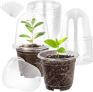 Pack of 30 Clear Propagation Pots with Moisture Dome, 10 cm Transparent Round Plastic Flower Pot with 10 Plant Labels, Flower Pot Seedling Start Pots for Succulents, Seeds, Seedlings