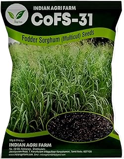 بذور العلف CoFS29 من IagriFarm® 500 جم