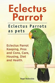 Eclectus Parrot. Eclectus Parrots as pets. Eclectu