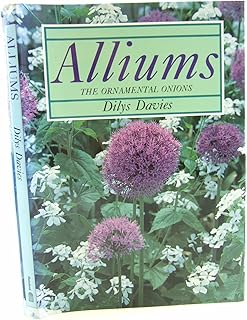 ALLIUMS THE ORNAMENTAL ONIONS