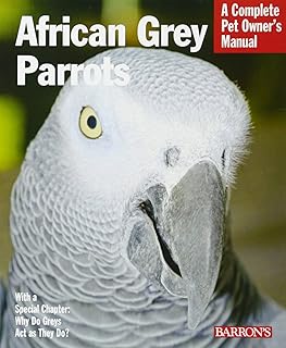 Barrons Educational Services African Grey Parrots